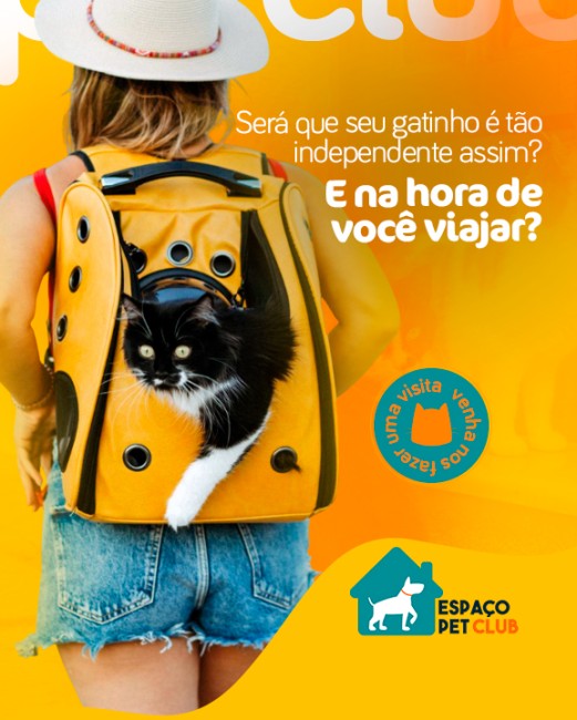 Será que seu gatinho é tão independente assim? E na hora de você viajar?