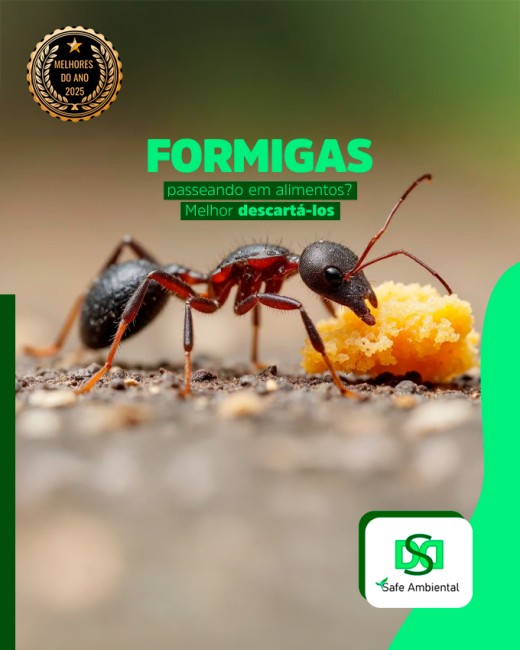 Formigas passeando em alimentos? Melhor descartá-los
