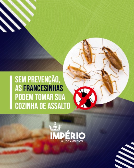 Sem prevenção, as francesinhas podem tomar sua cozinha de assalto