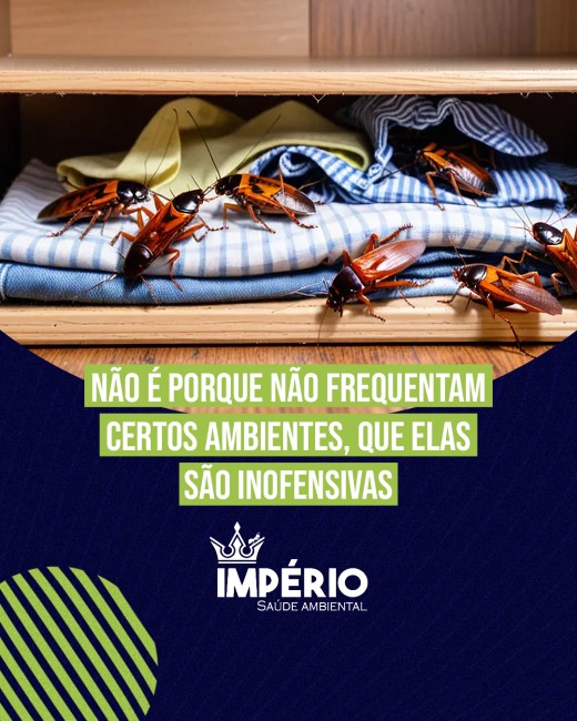 Não é porque não frequentam certos ambientes, que elas são inofensivas