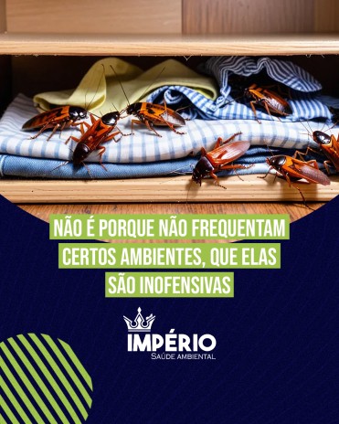 Não é porque não frequentam certos ambientes, que elas são inofensivas