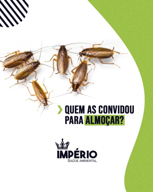 Quem as convidou para almoçar?