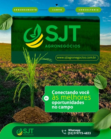 SJT Agronegócios: Conectando você às melhores oportunidades no campo