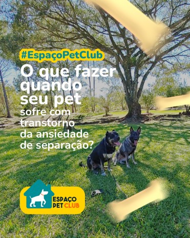 O que fazer quando seu pet sofre com transtorno da ansiedade de separação?