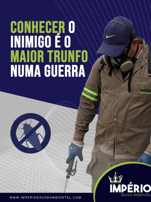 Conhecer o inimigo é o maior trunfo numa guerra