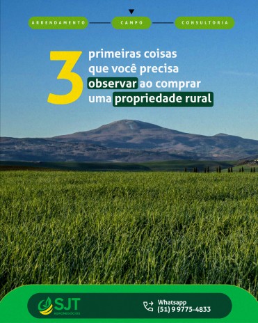 As três primeiras coisas que você precisa observar ao comprar uma propriedade rural
