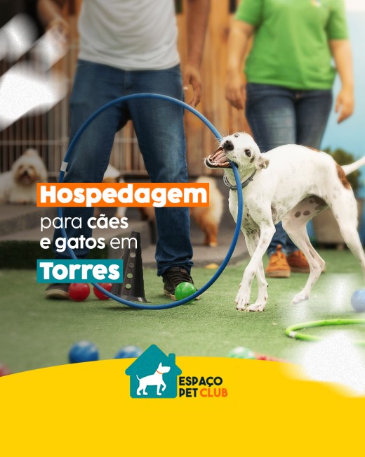 Hospedagem para cães e gatos em Torres