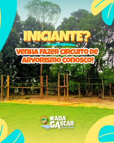 Iniciante? Venha fazer circuito de arvorismo conosco!