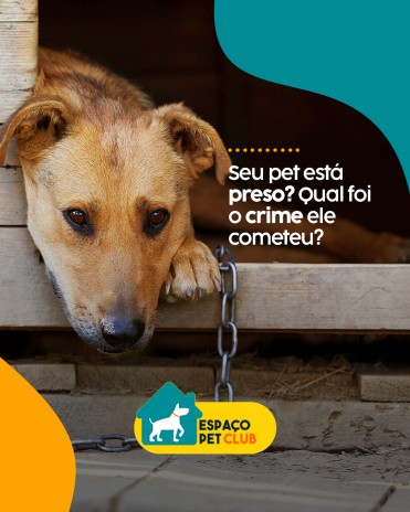 Seu pet está preso? Qual foi o crime ele cometeu?