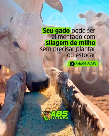 Seu gado pode ser alimentado com silagem de milho sem precisar plantar ou estocar