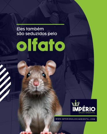 Eles também são seduzidos pelo olfato