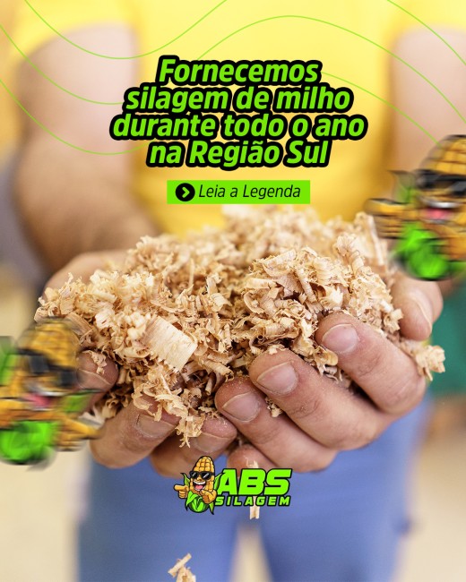 Fornecemos silagem de milho durante todo o ano na Região Sul
