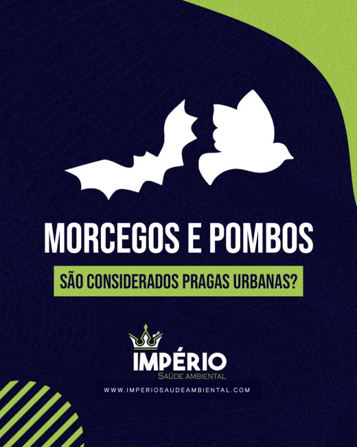 Morcegos e pombos são considerados pragas urbanas?