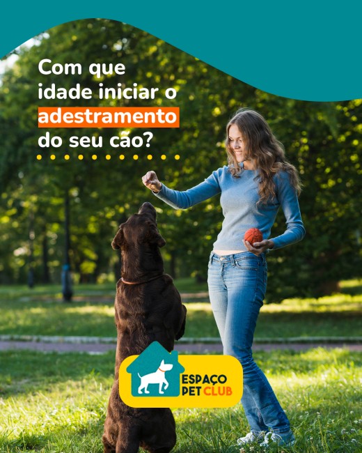Com que idade iniciar o adestramento do seu cão?