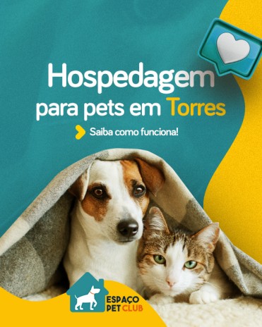 Hospedagem para pets em Torres