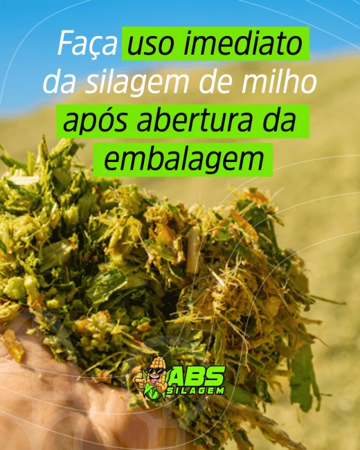 Faça uso imediato da silagem de milho após abertura da embalagem