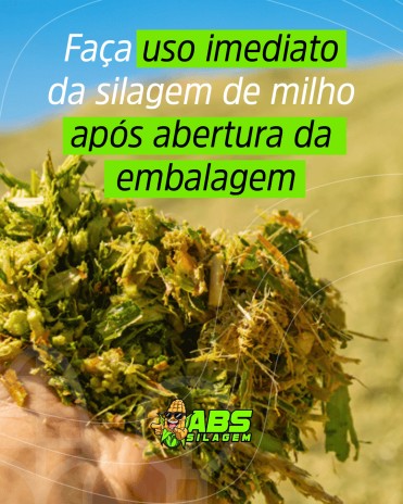 Faça uso imediato da silagem de milho após abertura da embalagem