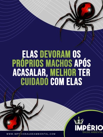 Elas devoram os próprios machos após acasalar, melhor ter cuidado com elas