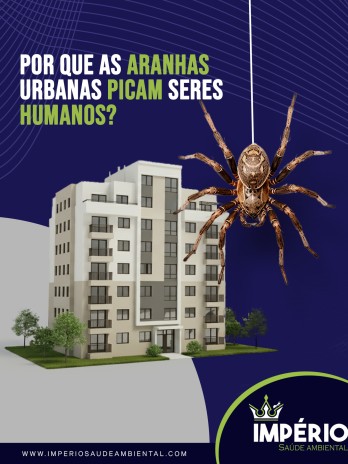Por que as aranhas urbanas picam seres humanos?