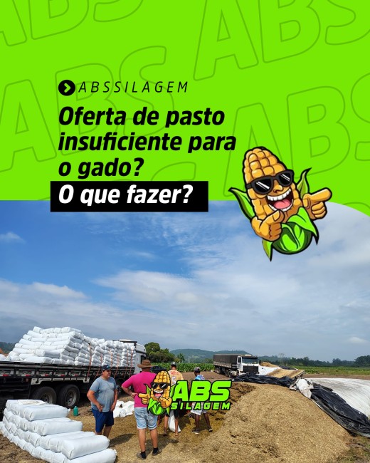 Oferta de pasto insuficiente para o gado? O que fazer?