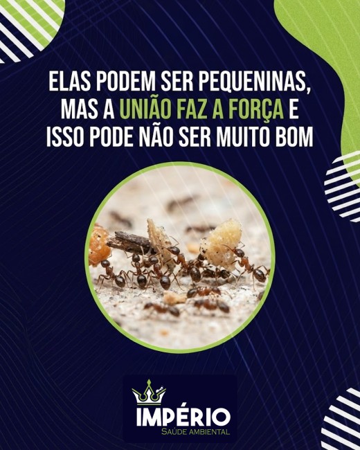 Elas podem ser pequeninas, mas a união faz a força e isso pode não ser muito bom