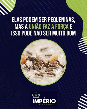 Elas podem ser pequeninas, mas a união faz a força e isso pode não ser muito bom