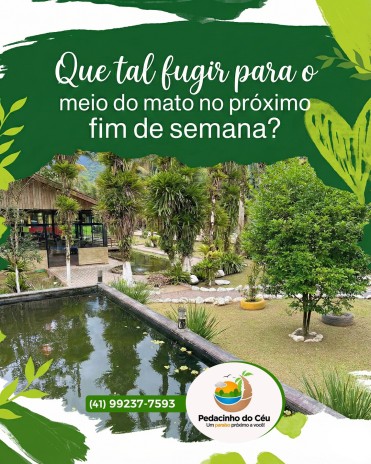 Que tal fugir para o meio do mato no próximo fim de semana?