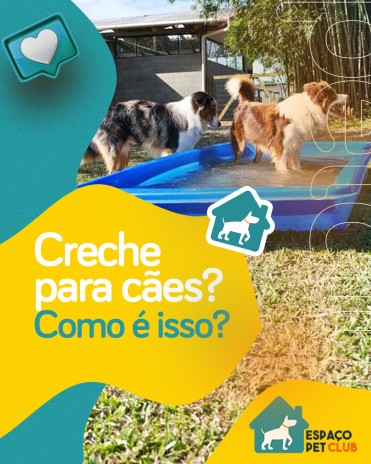 Creche para cães? Como é isso?
