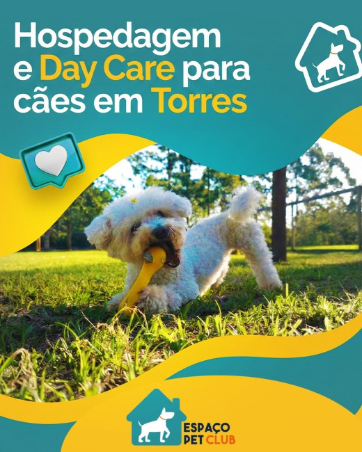 Hospedagem e Day Care para cães em Torres