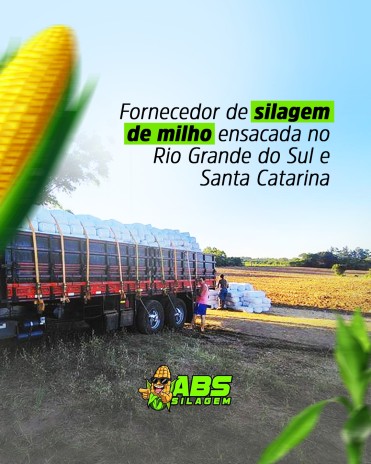 Fornecedor de silagem de milho ensacada no Rio Grande do Sul e Santa Catarina