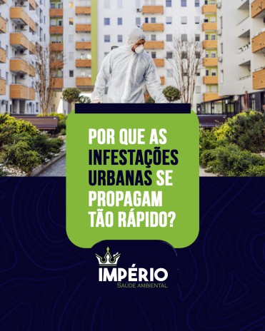 Por que as infestações urbanas se propagam tão rápido?