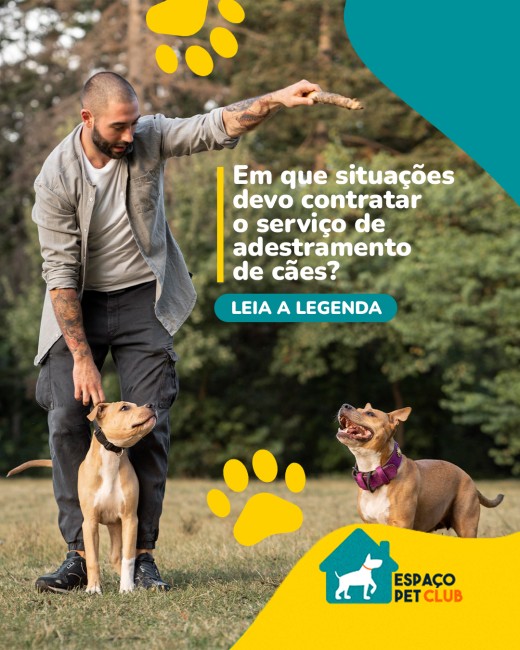 Em que situações devo contratar o serviço de adestramento de cães?