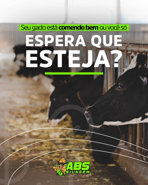 Seu gado está comendo bem ou você só espera que esteja?