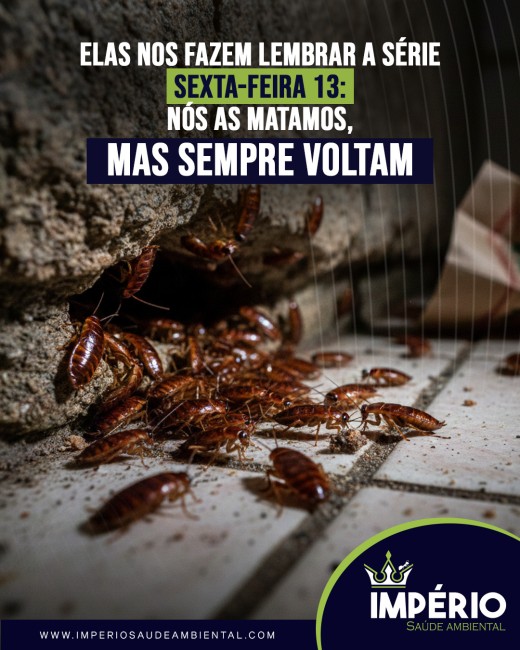 Elas nos fazem lembrar a série Sexta-feira 13: nós as matamos, mas sempre voltam