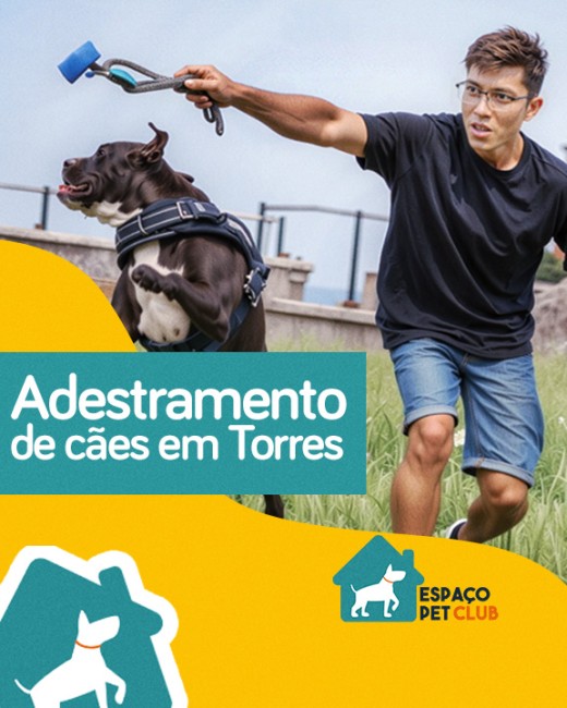 Adestramento de cães em Torres