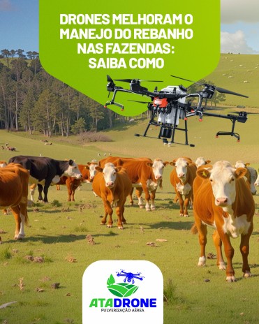 Drones melhoram o manejo do rebanho nas fazendas: saiba como