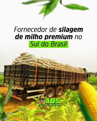 Fornecedor de silagem de milho premium no Sul do Brasil