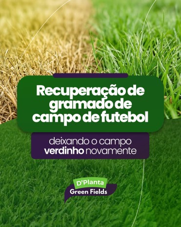 Recuperação de gramado de campo de futebol deixando o campo verdinho novamente