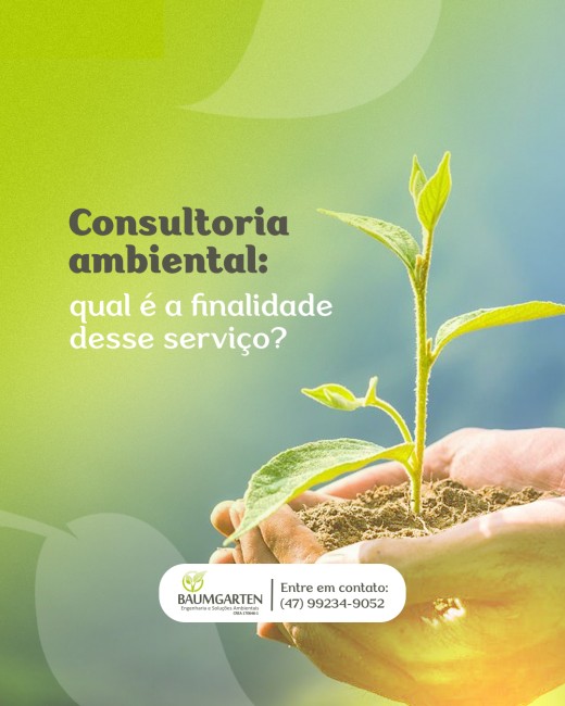 Consultoria ambiental: qual é a finalidade desse serviço?