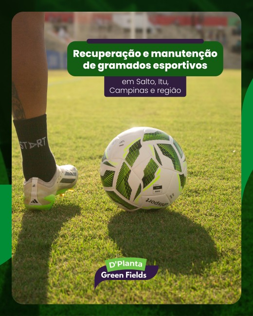Recuperação e manutenção de gramados esportivos em Salto, Itu, Campinas e região