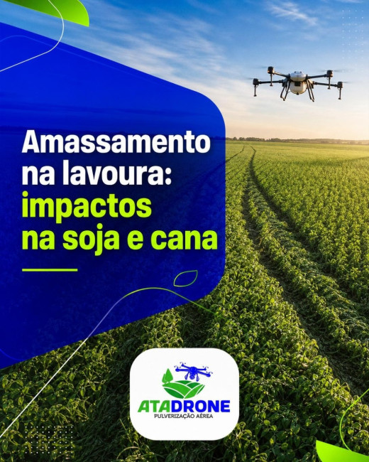 Amassamento na lavoura: impactos na soja e cana