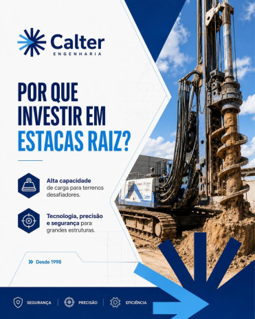 Por que Investir em Estacas Raiz?