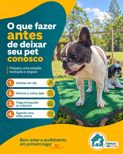 O Que Fazer Antes de Deixar Seu Pet Conosco