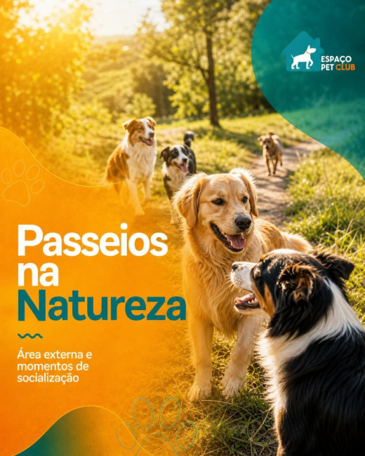 Passeios na Natureza