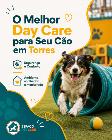 O Melhor Day Care para Seu Cão em Torres Segurança e Conforto