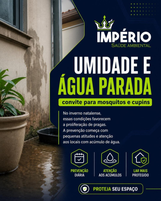 Umidade e água parada